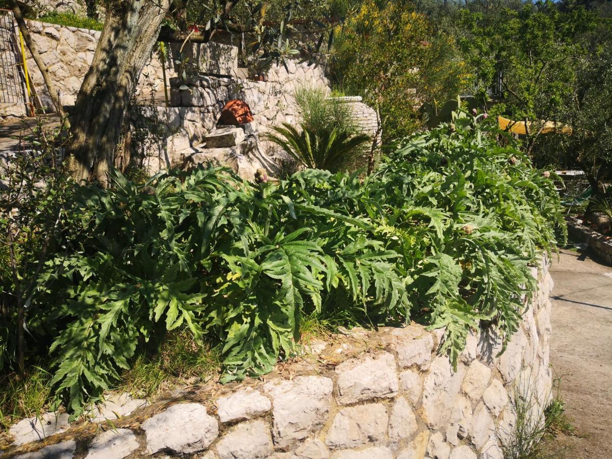 Cynara Holiday House Massa Lubrense Exterior foto